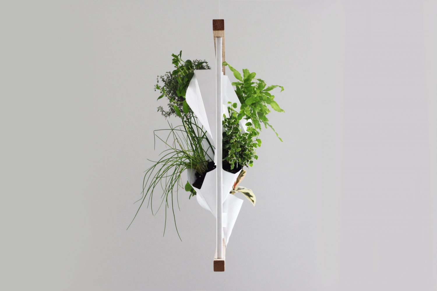 greenwall franck grossel tyvek design product