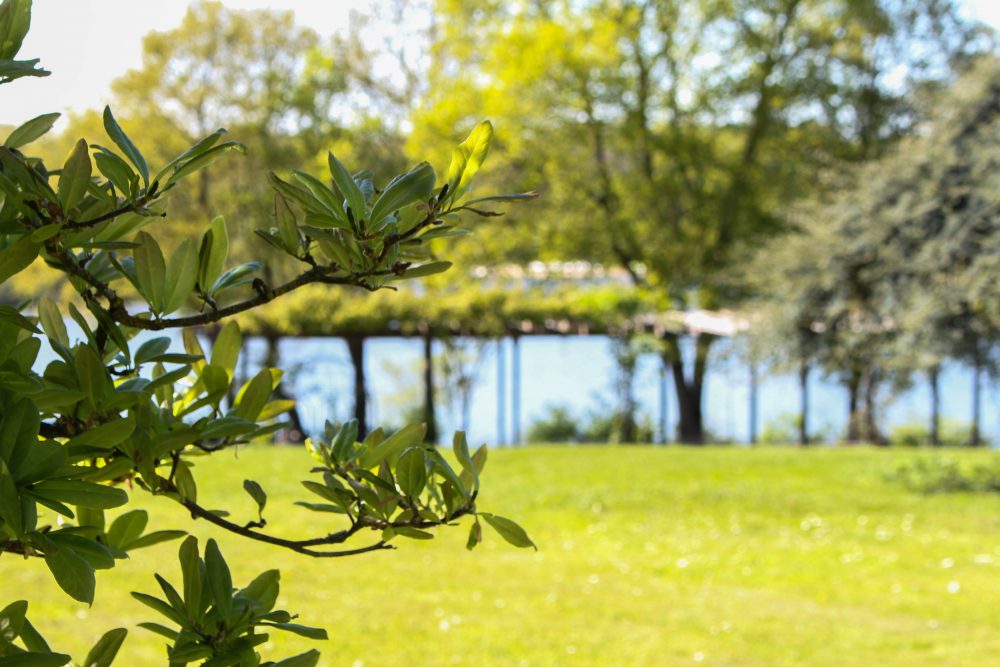 nantes parc floral